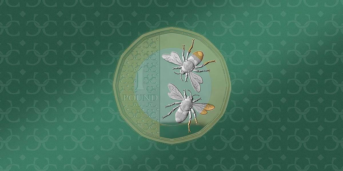 The 2023 Definitive &pound;1 coin with its bee design and light green tint against a darker green background